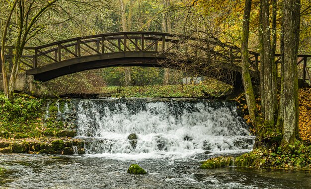 Hermoso paisaje de un puente sobre un río rodeado de árboles en un parque