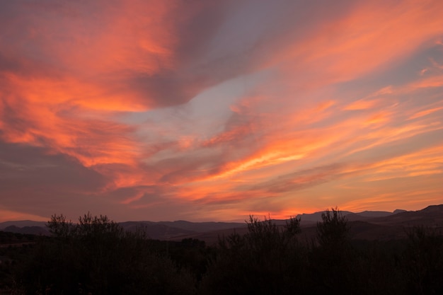 Hermoso paisaje de puesta de sol y vegetación.