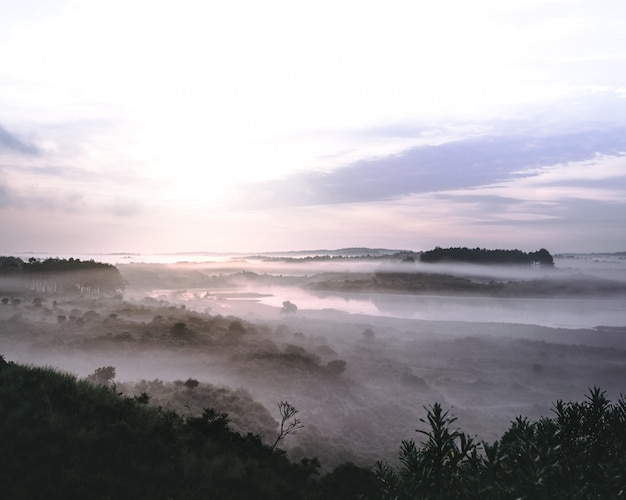 Hermoso paisaje de un río en un bosque montañoso cubierto de niebla en Zuid-Kennemerland