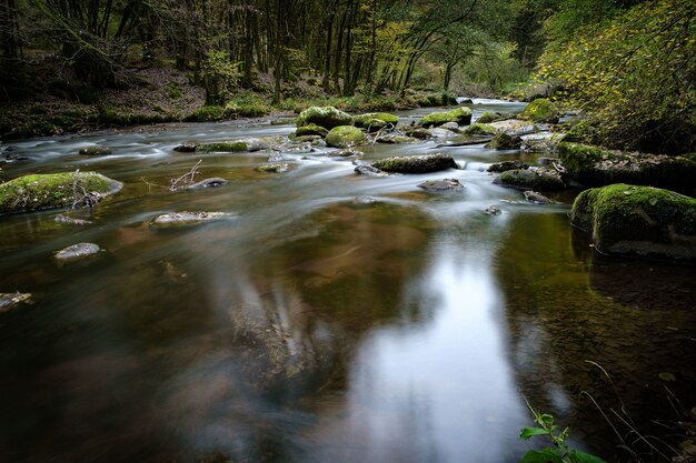 Hermoso paisaje de un río con muchas formaciones rocosas cubiertas de musgo en el bosque