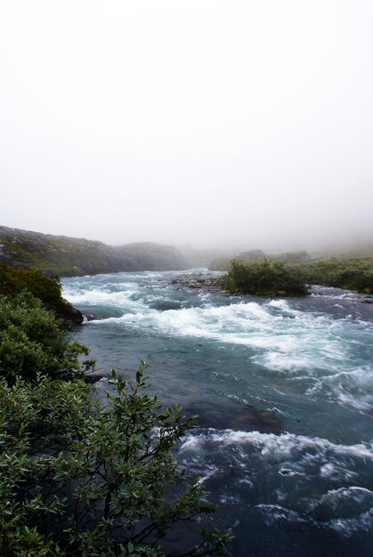Hermoso paisaje de un río rodeado de plantas verdes envueltas en niebla en Noruega