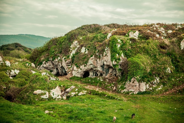 Hermoso paisaje con rocas cubiertas de verde, cuevas y perros