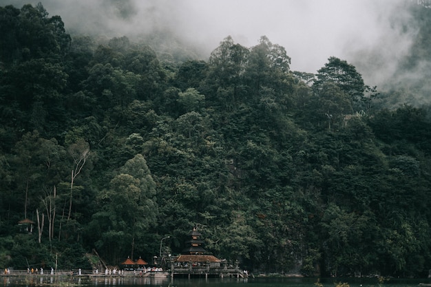 Hermoso paisaje de selva cubierta de niebla cerca del hermoso lago con edificios