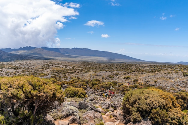 Foto gratuita hermoso paisaje de tanzania y kenia