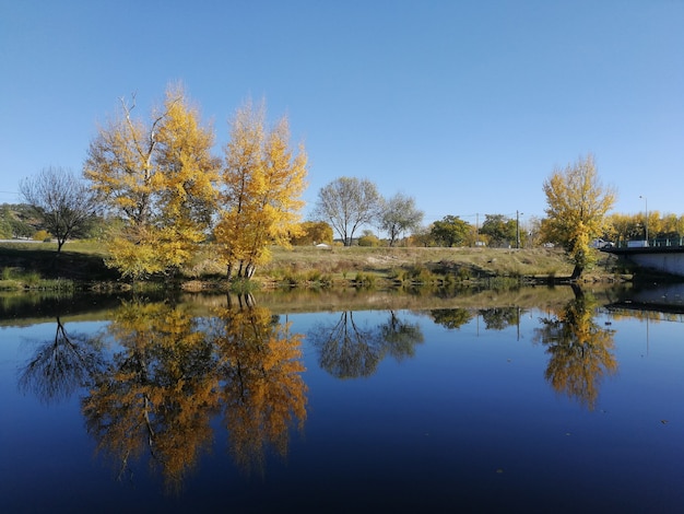 Hermoso paisaje de una variedad de árboles reflejándose en un lago durante el día