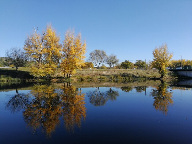Hermoso paisaje de una variedad de árboles reflejándose en un lago durante el día