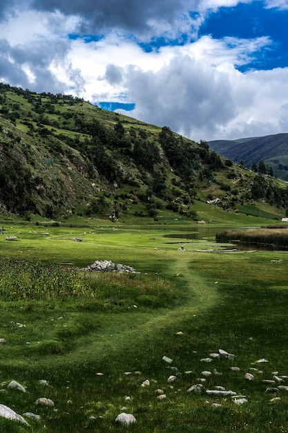 Hermoso paisaje con vegetación y árboles bajo un cielo nublado