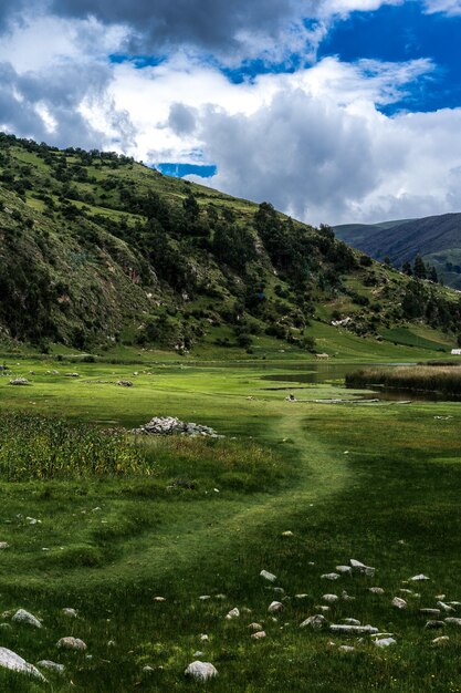 Hermoso paisaje con vegetación y árboles bajo un cielo nublado