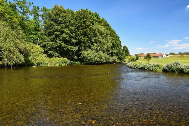 Hermoso paisaje de verano con el río, el bosque, el sol y el cielo azul. Fondo natural.