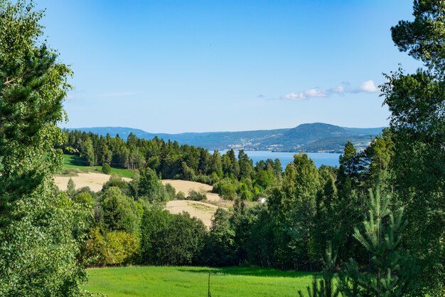 Hermoso paisaje verde cerca del mar rodeado de altas montañas rocosas