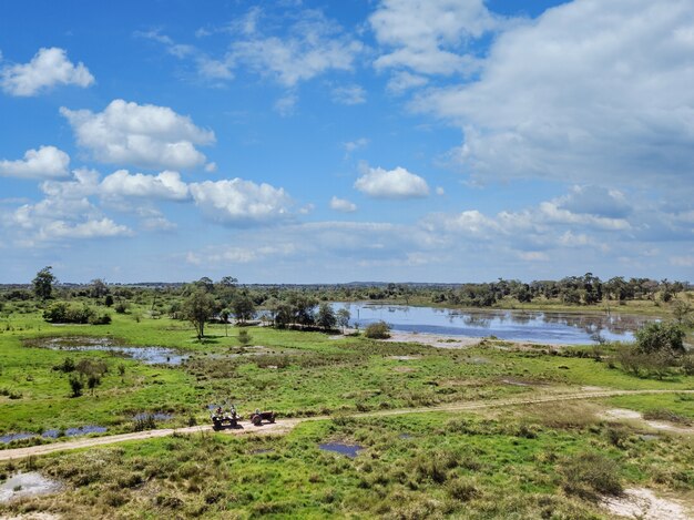 Hermoso paisaje verde con un pantano bajo un cielo nublado