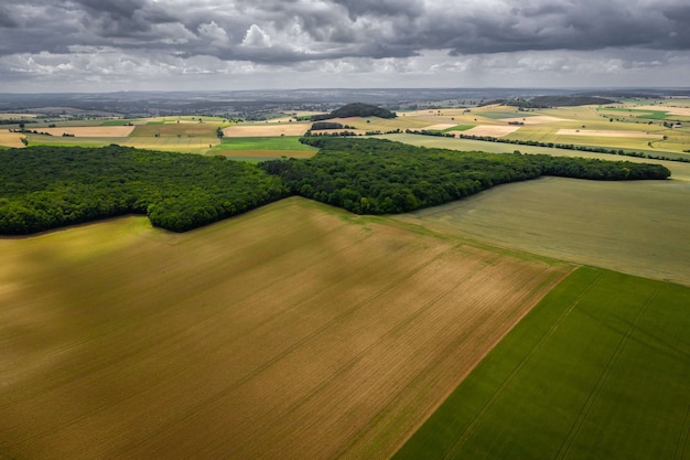 Hermoso paisaje verde con plantaciones y árboles bajo un cielo nublado