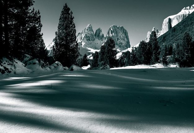 Foto gratuita hermoso paisaje de una zona nevada rodeada por una gran cantidad de acantilados rocosos y abetos en los dolomitas