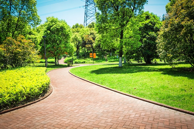 Hermoso parque de la ciudad