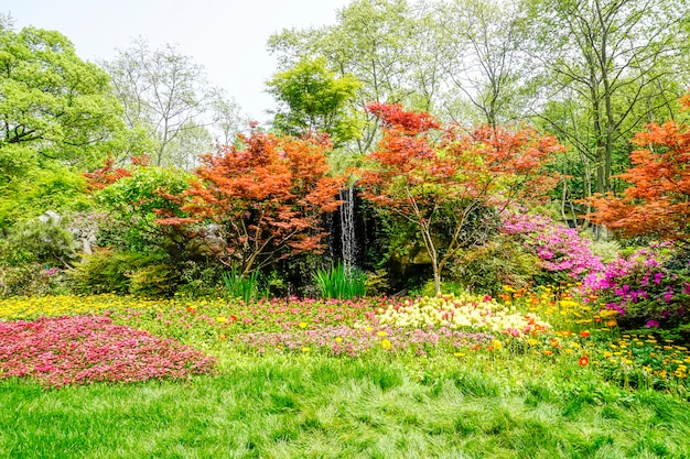 hermoso parque verde