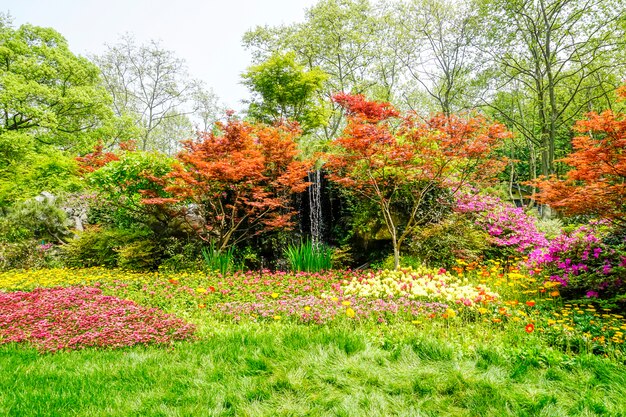 hermoso parque verde