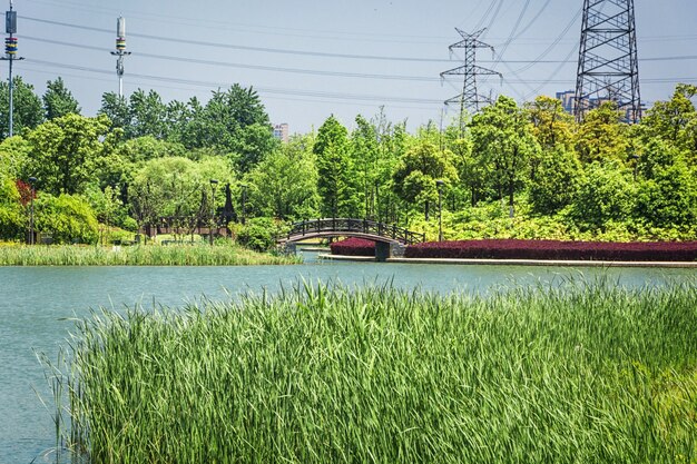 Hermoso parque