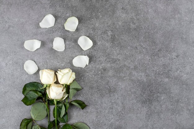 Hermoso ramo de rosas blancas sobre mármol.