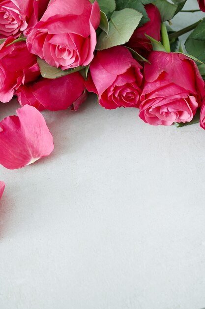 Hermoso ramo de rosas rosadas con copyspace en blanco. Concepto de día de san valentín
