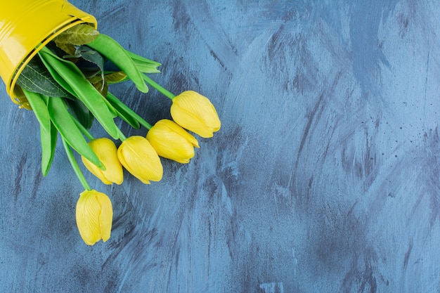 Foto gratuita hermoso ramo de tulipanes amarillos frescos en azul.