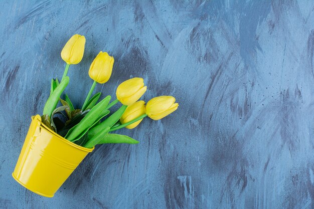 Hermoso ramo de tulipanes amarillos frescos en azul