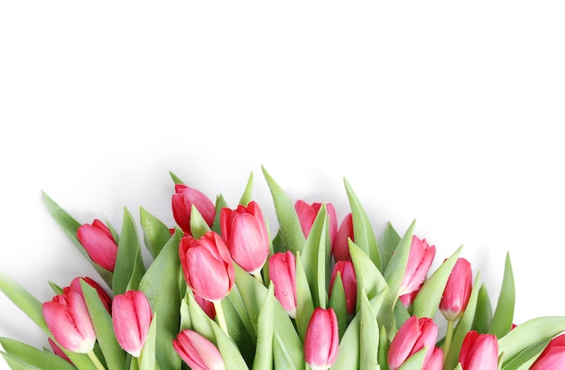 Hermoso ramo de tulipanes