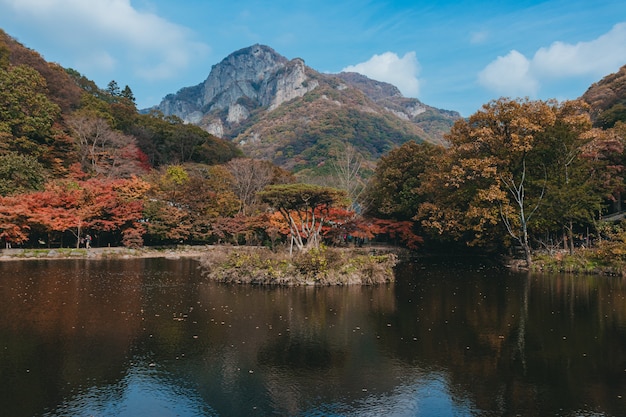 Hermoso reflejo de árboles en un lago con una montaña alta y un cielo azul de fondo