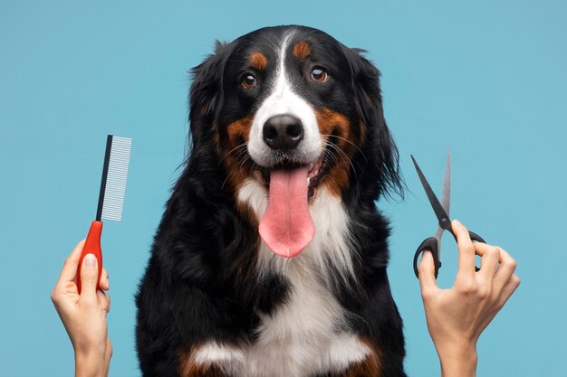 Hermoso retrato de mascota de perro