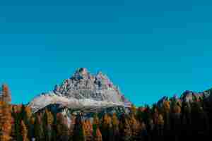 Foto gratuita hermoso sot de árboles amarillos y verdes con montaña y cielo azul