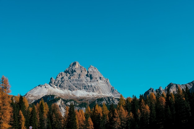 Hermoso sot de árboles amarillos y verdes con montaña y cielo azul