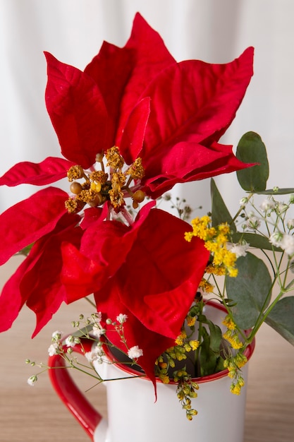 Foto gratuita hermoso surtido de poinsettia roja