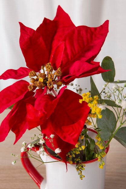 Hermoso surtido de poinsettia roja