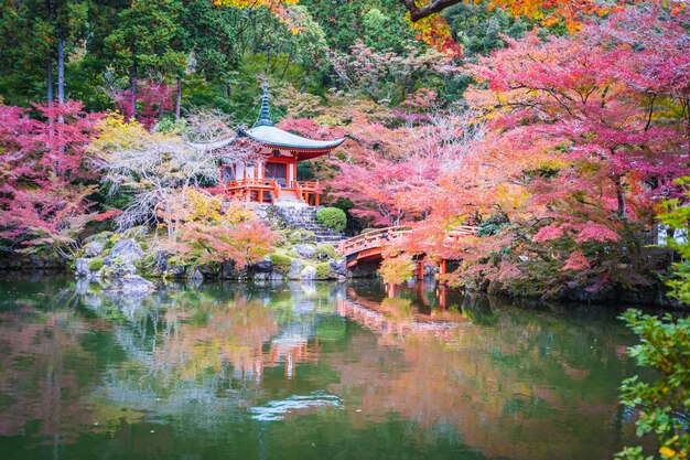 Hermoso templo Daigoji con coloridos árboles y hojas en temporada de otoño