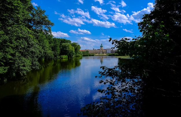 Hermoso tiro de agua en medio de árboles y plats con edificio en la distancia