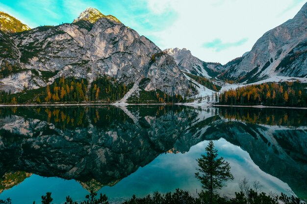 Hermoso tiro de agua que refleja los árboles amarillos y verdes cerca de las montañas con un cielo azul