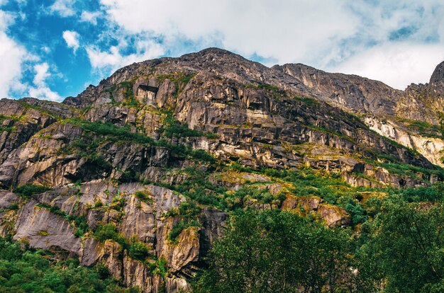 Hermoso tiro de altas formaciones rocosas cubiertas de hierba en Noruega