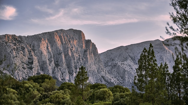 Hermoso tiro de árboles con montañas y un cielo azul en el