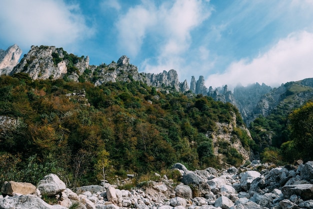 Hermoso tiro de árboles verdes en una colina cerca de acantilados rocosos con nubes en el cielo azul