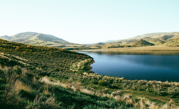 Hermoso tiro de campo de hierba cerca del agua con una montaña boscosa en la distancia