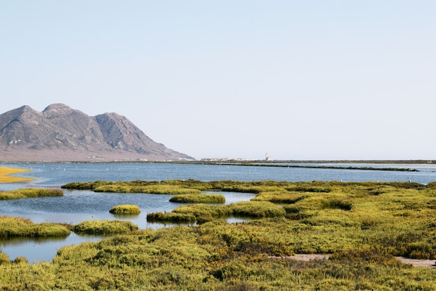 Hermoso tiro escénico de un lago rodeado de hierba verde y altas montañas bajo el cielo azul