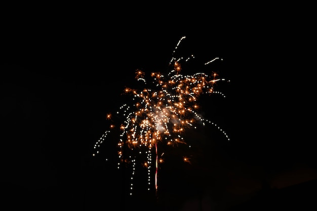 Hermoso tiro de fuegos artificiales estallando en el cielo nocturno que se extiende una atmósfera festiva