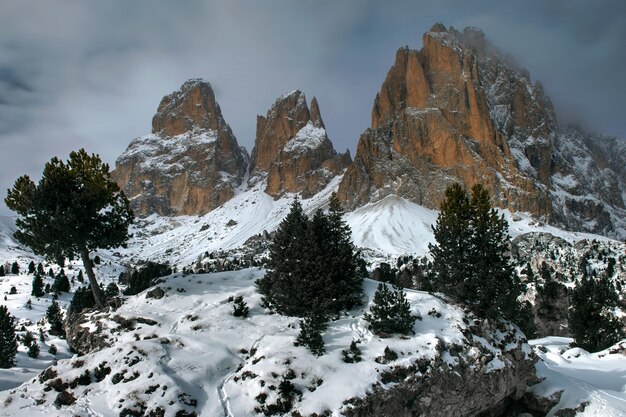 Hermoso tiro de montaña y árboles del plan Sella Pass en Italia