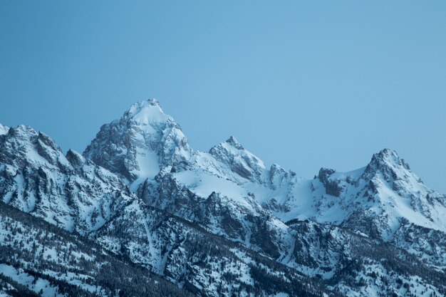 Hermoso tiro de montañas cubiertas de nieve bajo un cielo azul claro