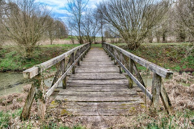 Hermoso tiro de un puente de madera en el campo con árboles secos en otoño