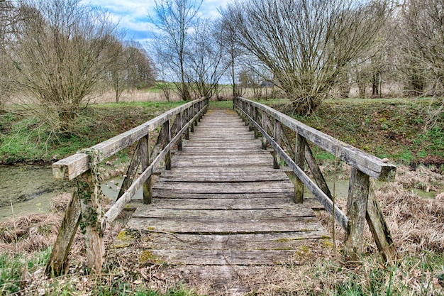 Hermoso tiro de un puente de madera en el campo con árboles secos en otoño