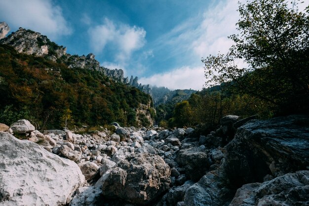 Hermoso tiro de rocas en medio de árboles y montañas en la distancia