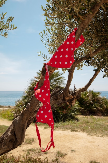 Foto gratuita hermoso traje de baño en la playa