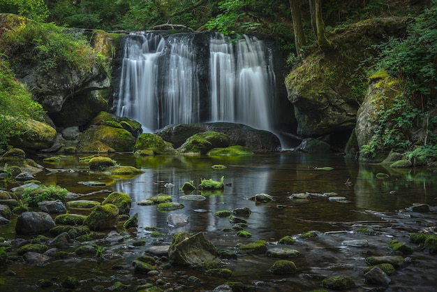 Hermoso y tranquilo paisaje de Whatcom Falls en el estado de Washington