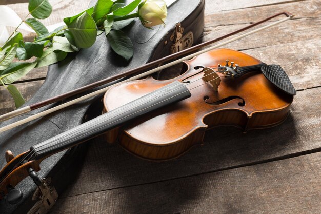 Hermoso violín