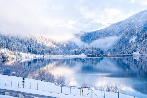 Hermosos árboles en el paisaje de invierno temprano en la mañana en las nevadas